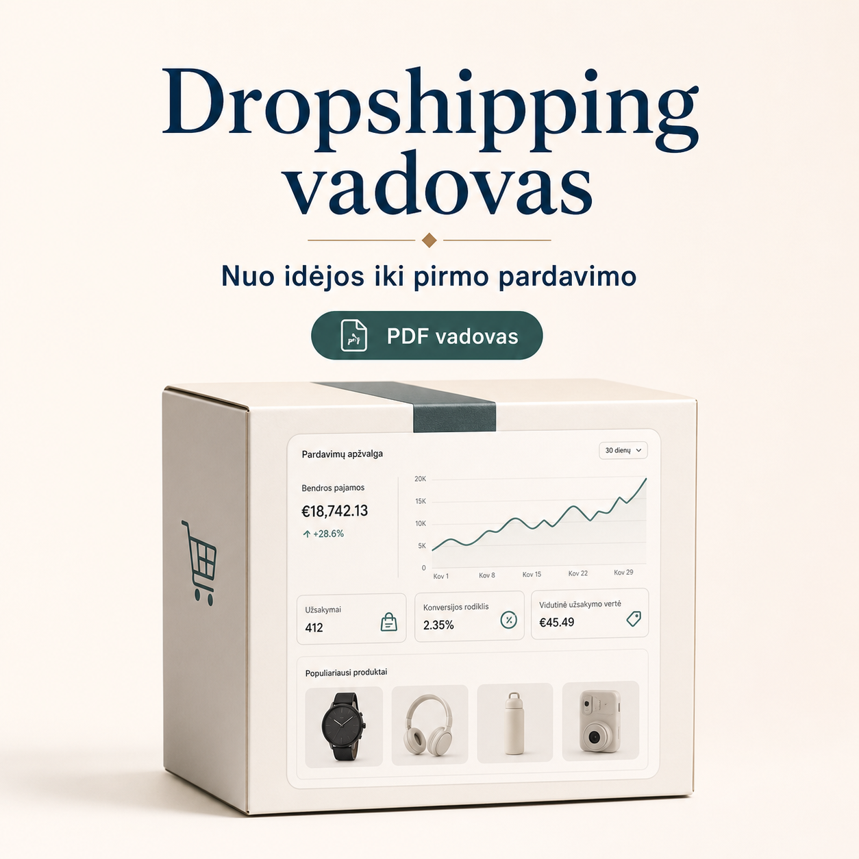 Dropshipping Vadovas